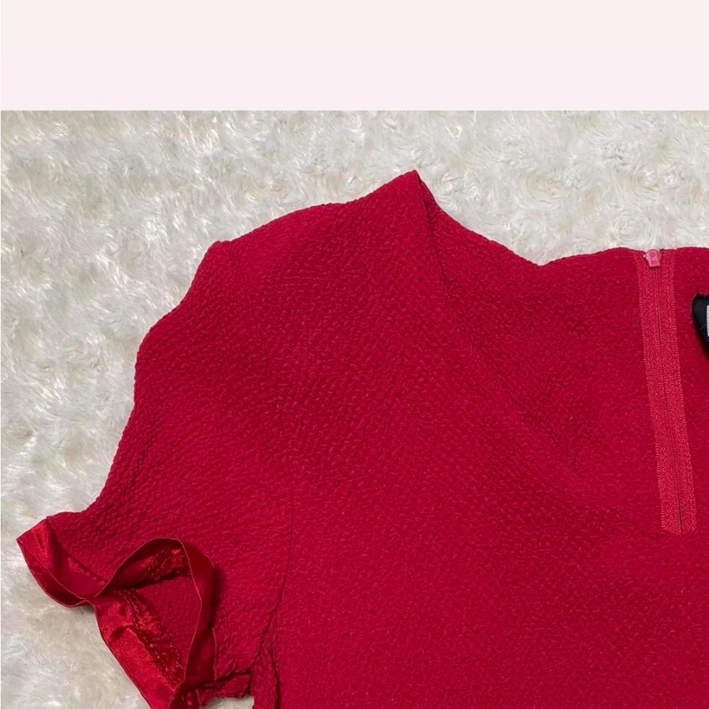 City Triangles 90s Red Ruffle Mini Dress - Picture 7 of 8